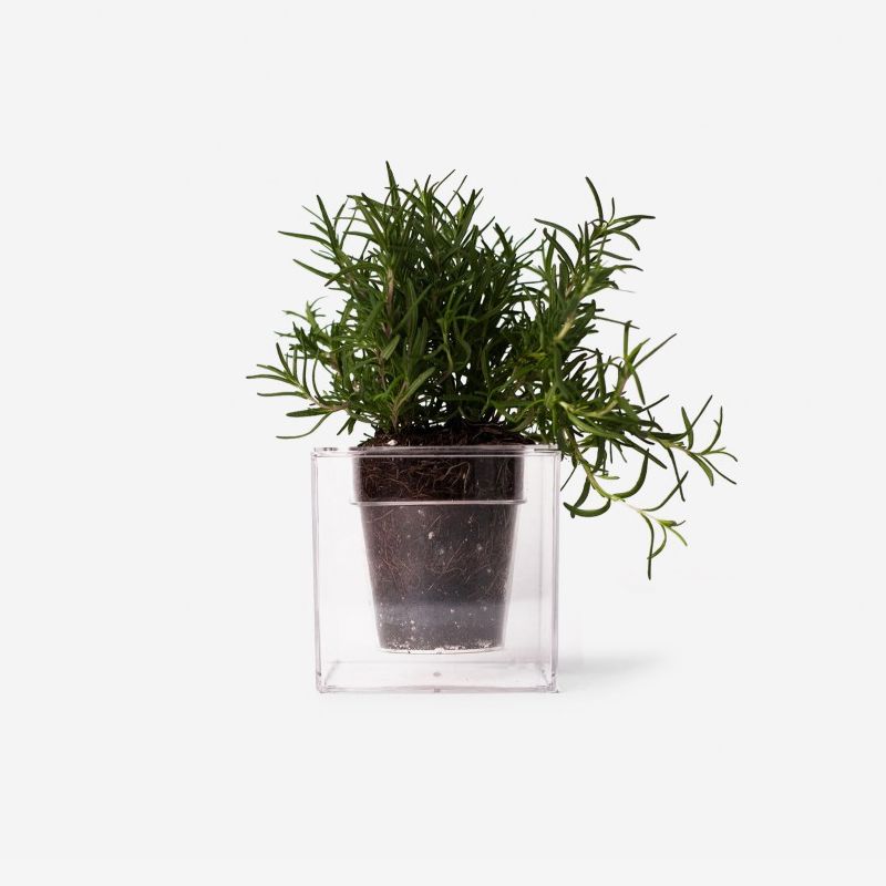 Fusce ultricies  dolor vitae